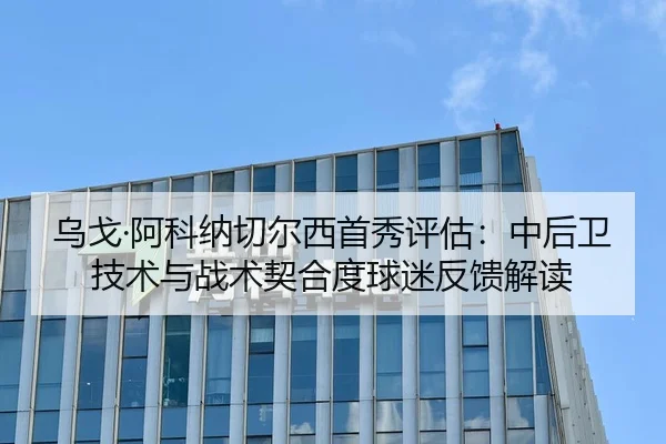 乌戈·阿科纳切尔西首秀评估：中后卫技术与战术契合度球迷反馈解读